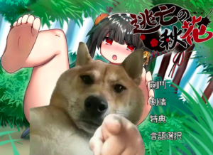 【iOS+安卓】逃亡的秋花 【像素风RPG神作/官中】-27资源发布站