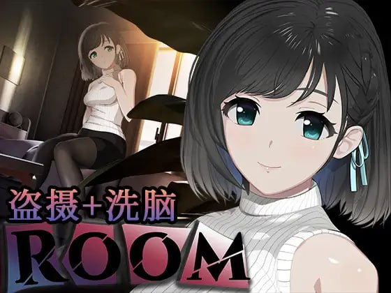 【Pc】偷窥女孩私生活的偷拍洗脑SLG：ROOM-27资源发布站