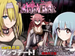【Pc+安卓Joi】King Exit / 王国编年史 v3.0.2c官中-27资源发布站